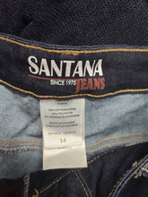 Charger l'image dans la galerie, 21-2849, 14 ans, Santana
